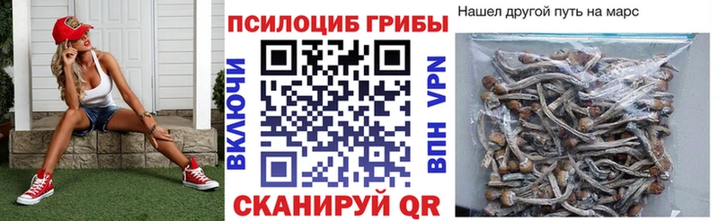 Псилоцибиновые грибы GOLDEN TEACHER  Котовск 